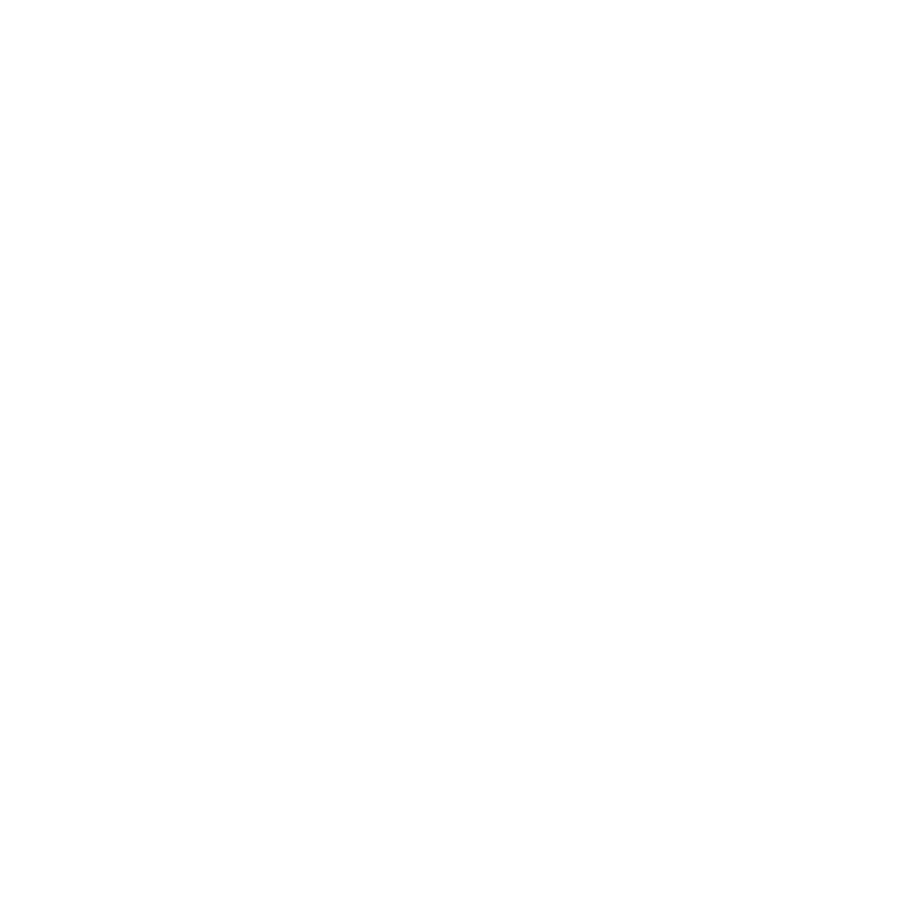 D WORKS Logo